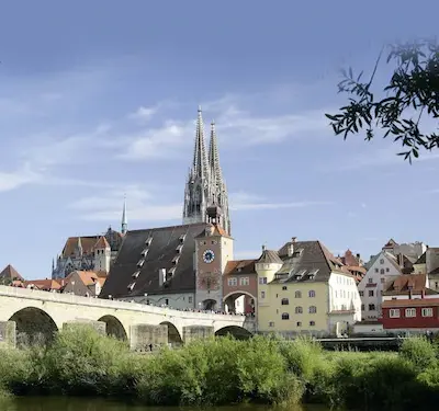 Regensburg sede del Corso di aggiornamento sulla Rinoplastica Endonasale 2024